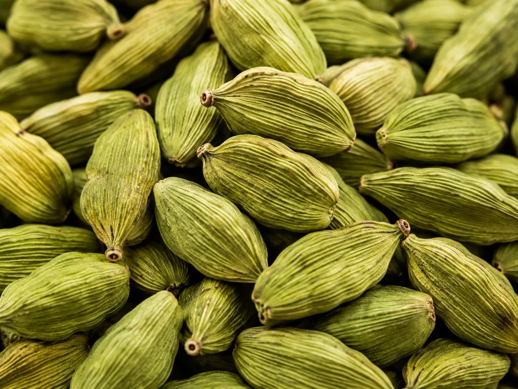 Close-up of natural green whole Green Cardamom pods